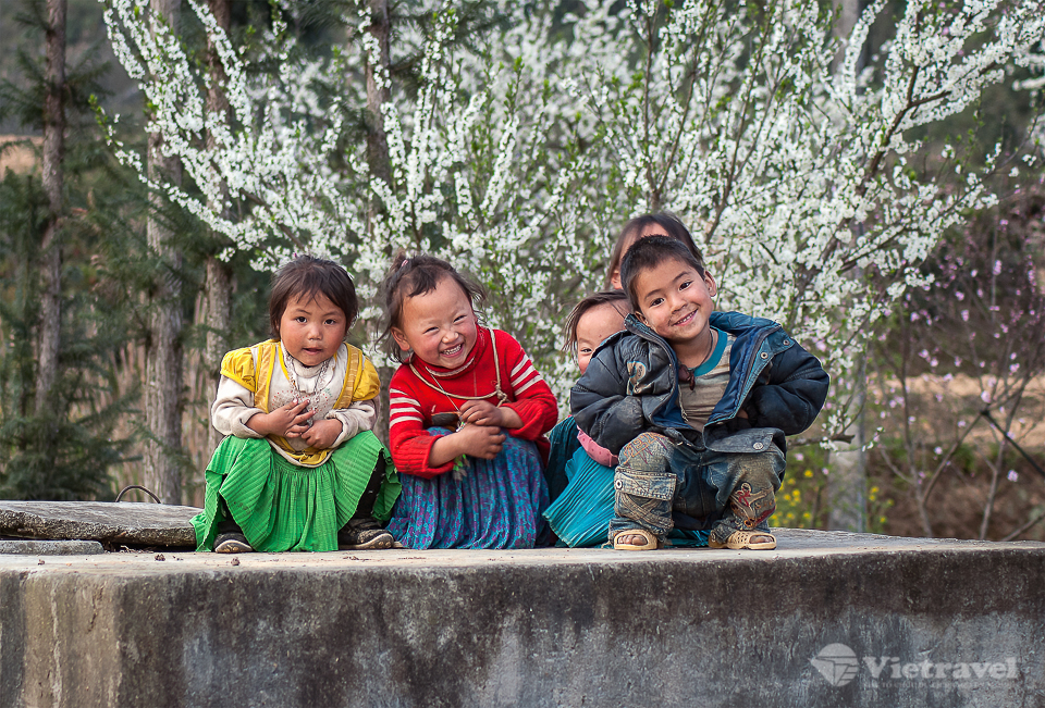 Fugue dans le Grand Nord-Ouest
